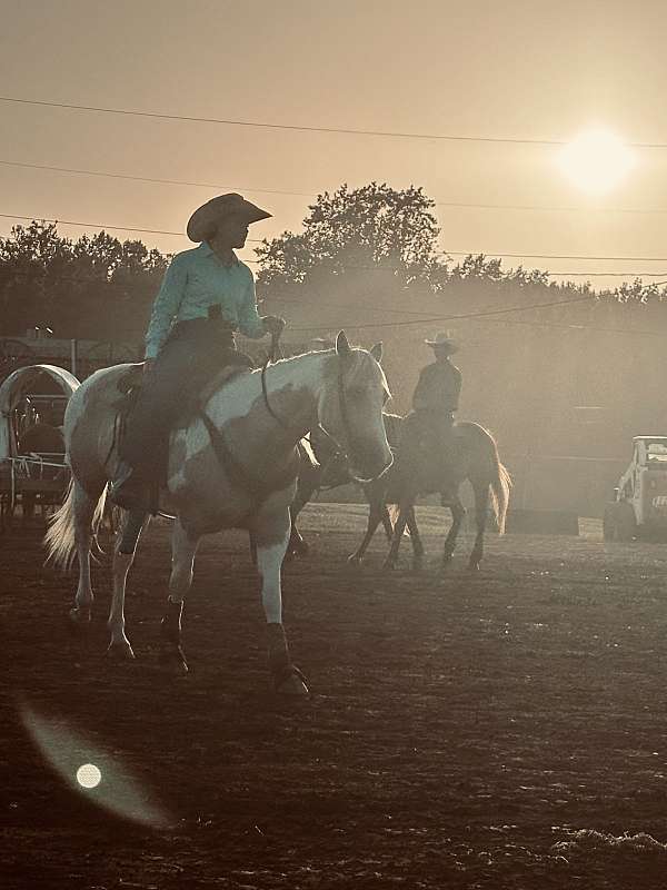 athletic-quarter-horse