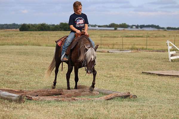 all-around-pony