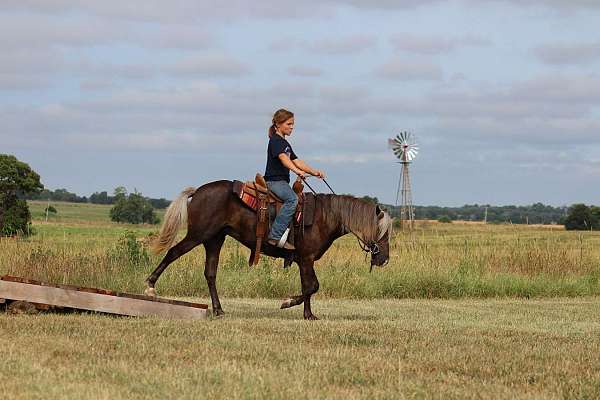 beginner-pony