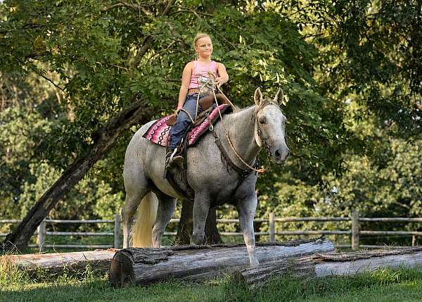 calf-roping-quarter-horse