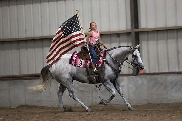 kid-safe-quarter-horse