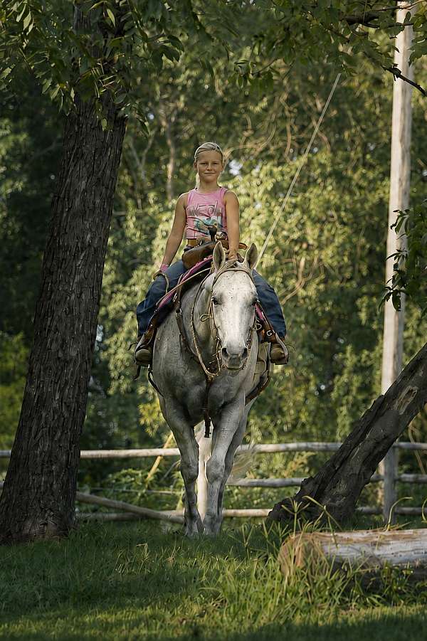 ranch-quarter-horse