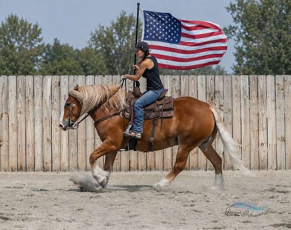 driving-draft-horse