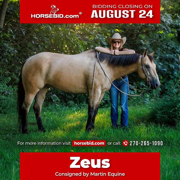 all-around-quarter-horse