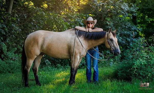 athletic-quarter-horse
