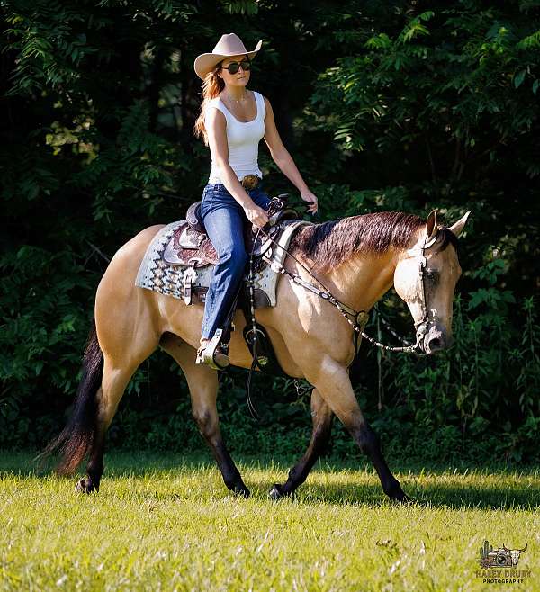 flashy-quarter-horse