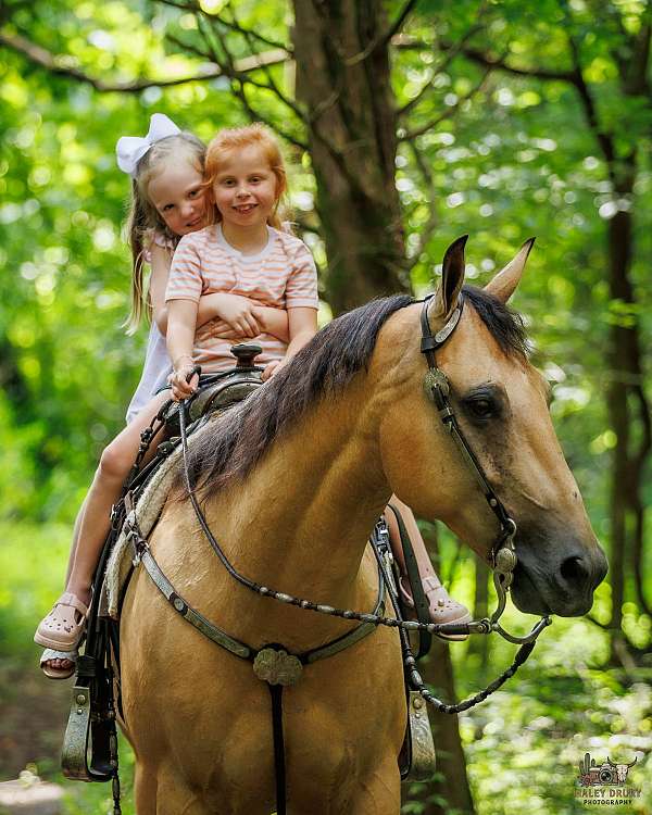 kid-safe-quarter-horse
