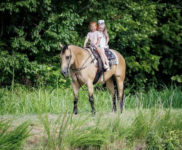 ranch-quarter-horse