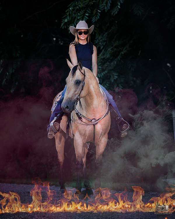 ranch-work-quarter-horse