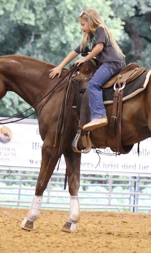 flashy-quarter-horse