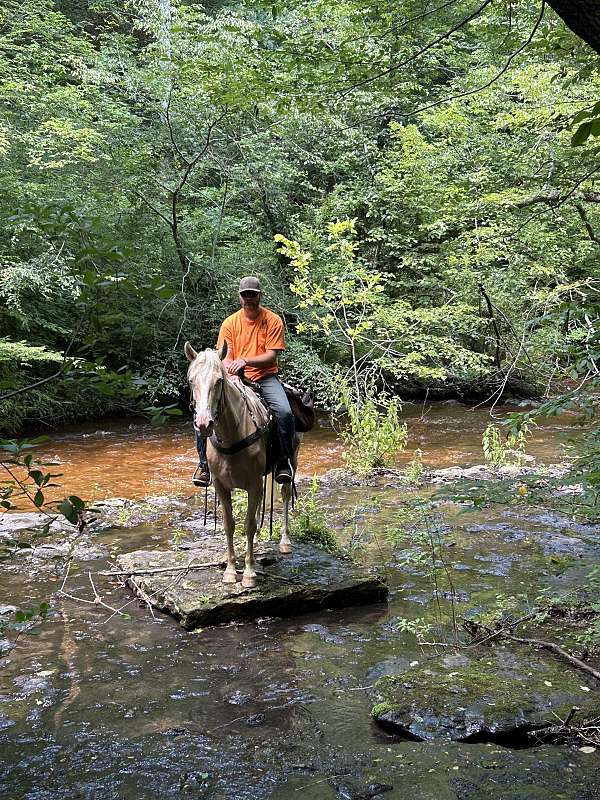 trail-mare