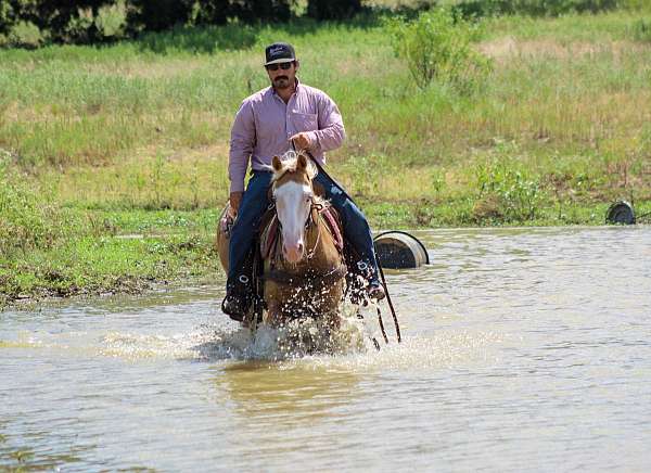 athletic-paint-horse