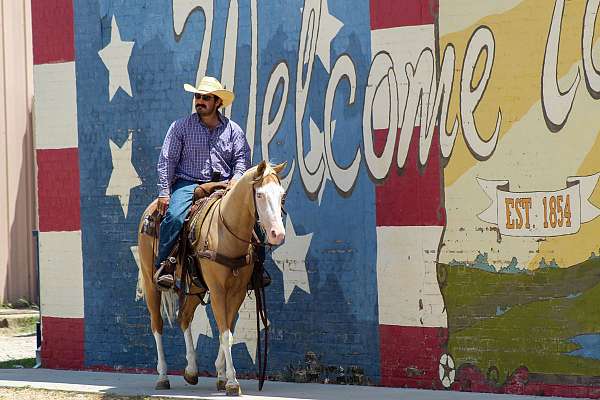 ranch-paint-horse