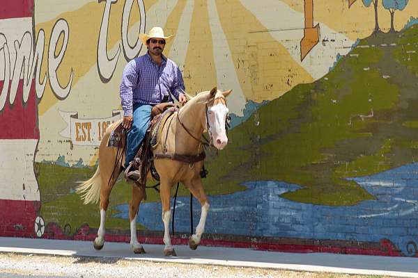 ranch-versatility-paint-horse