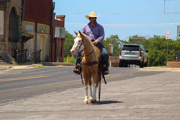 ranch-work-paint-horse