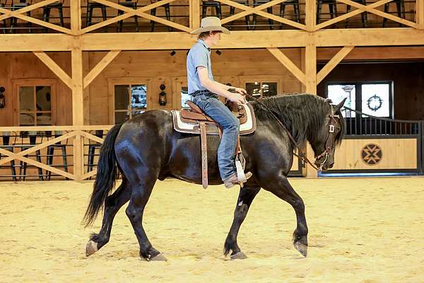 kid-safe-draft-horse