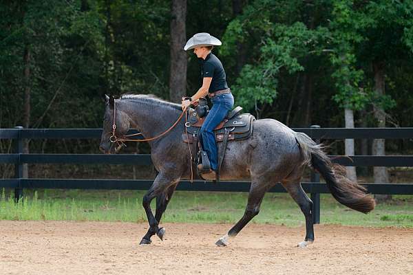 ranch-work-quarter-horse