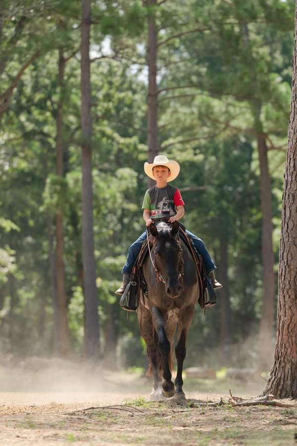 roping-quarter-horse