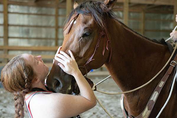 scar-on-back-right-flank-horse