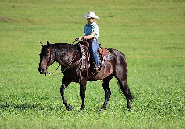 ranch-quarter-horse