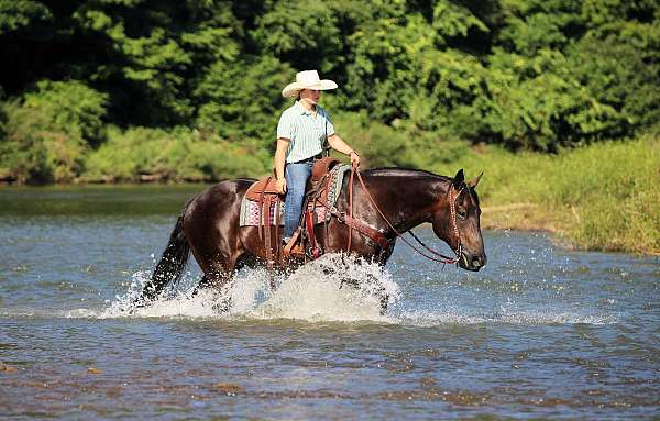 ranch-versatility-quarter-horse