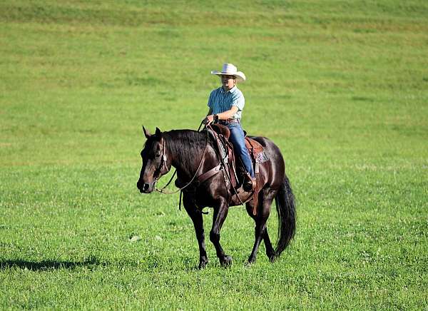 trail-riding-quarter-horse