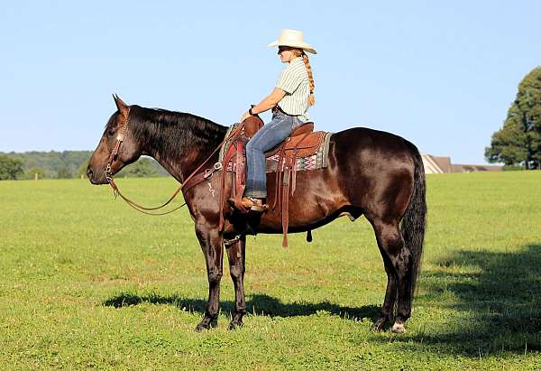 youth-quarter-horse