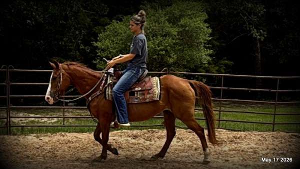willing-disposition-mare