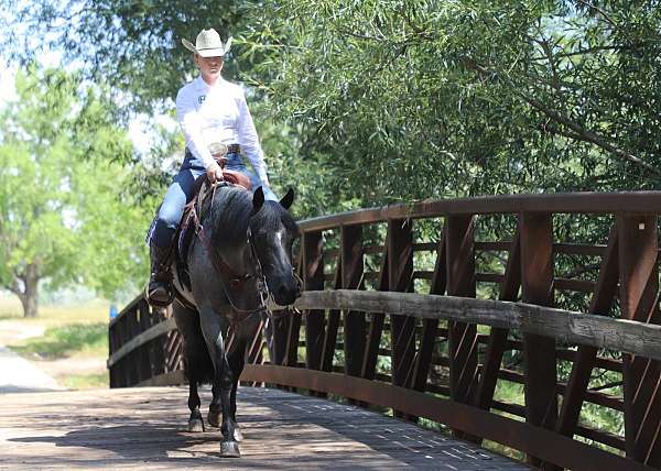 ranch-versatility-quarter-horse