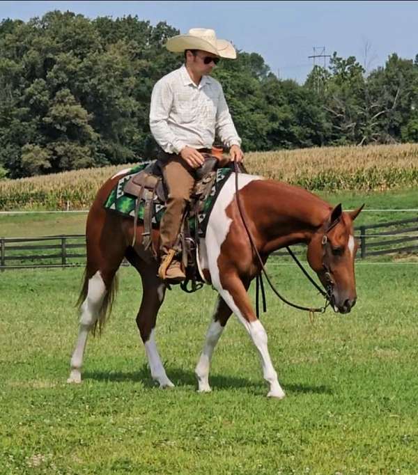 flashy-paint-pony