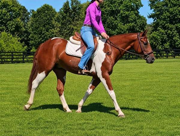 jumping-paint-pony