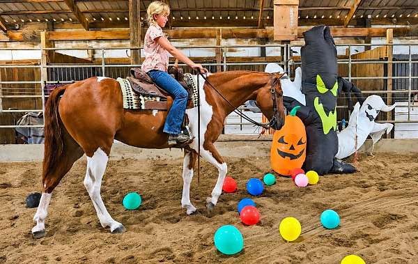 ranch-work-paint-pony