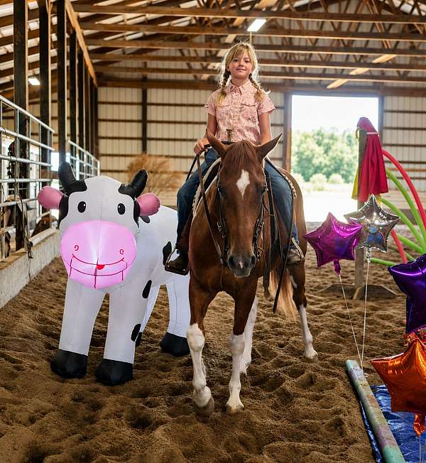 ridden-western-paint-pony