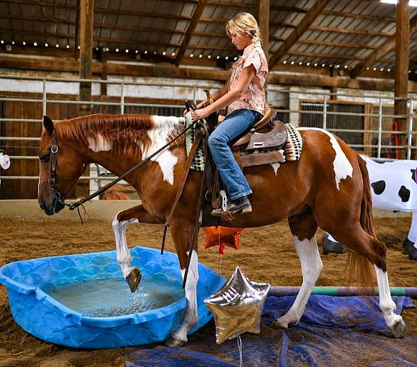 roping-paint-pony