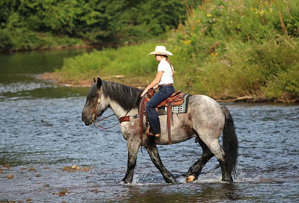 cross-draft-horse
