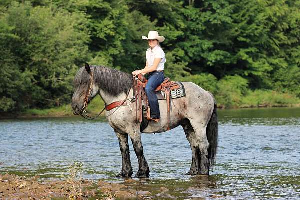kid-safe-draft-horse