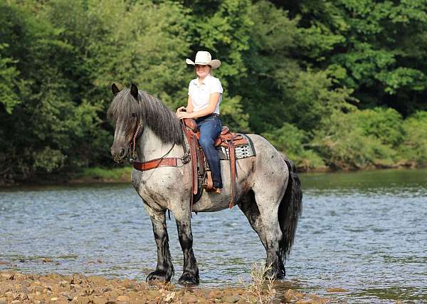 ranch-work-draft-horse