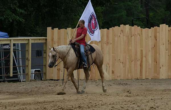 ranch-work-quarter-horse