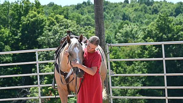 roping-quarter-horse