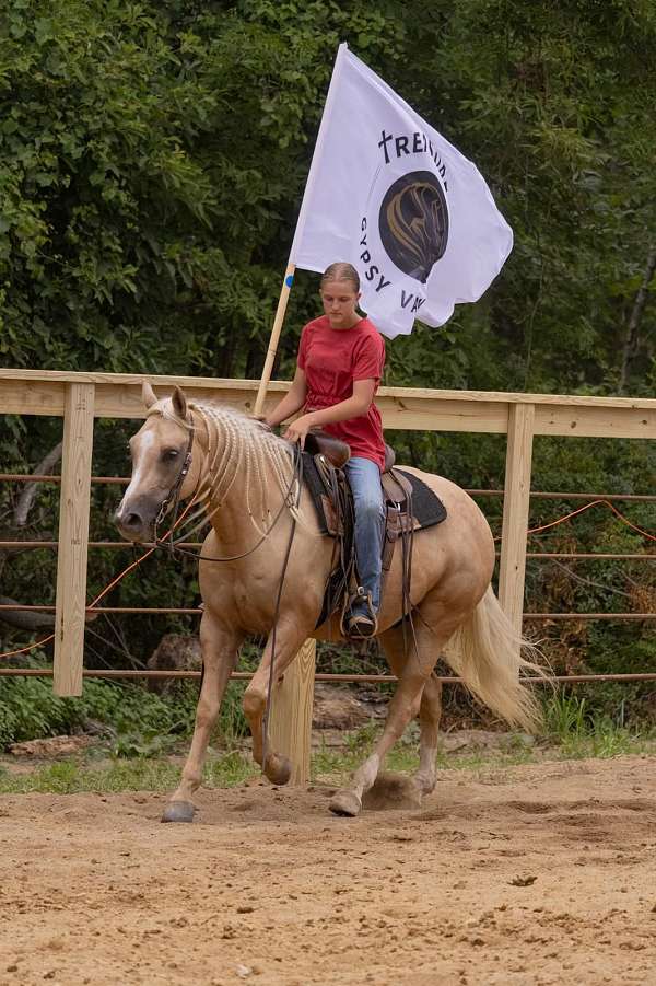 trail-riding-quarter-horse