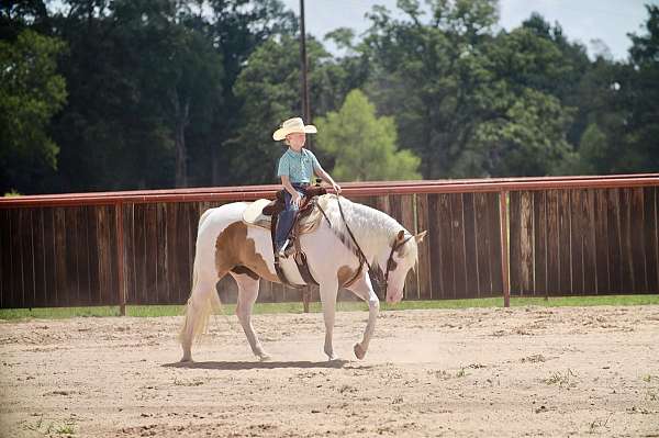 kid-safe-paint-horse