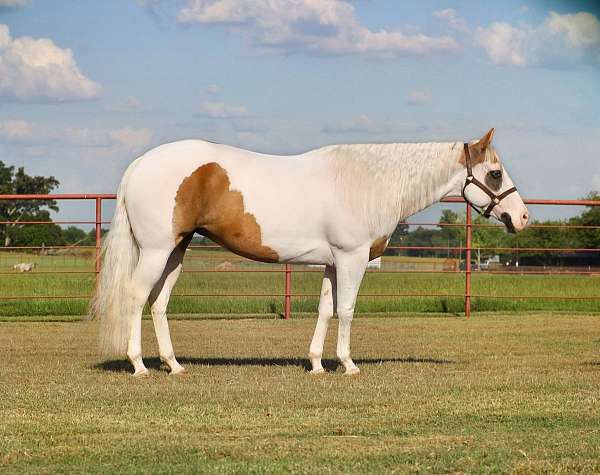 trail-riding-paint-horse