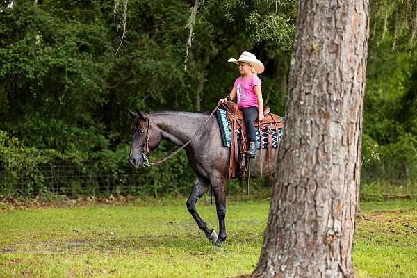 jumping-quarter-horse