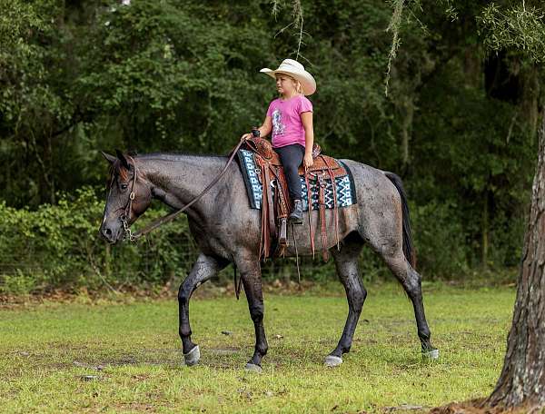 ranch-quarter-horse