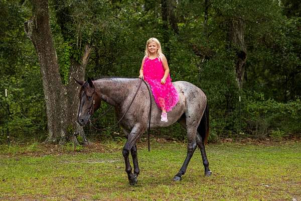 roping-quarter-horse