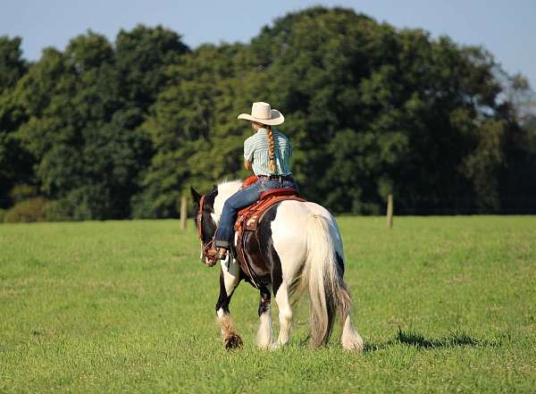 flashy-gypsy-vanner-horse