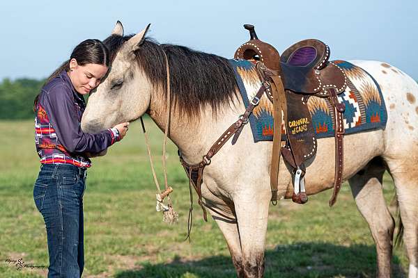 cross-draft-horse