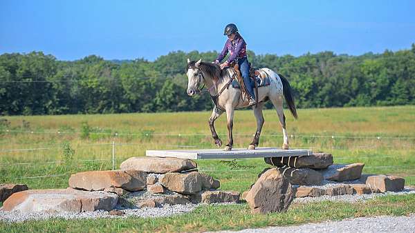 ranch-draft-horse