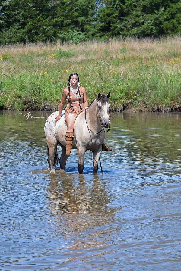 ranch-versatility-draft-horse