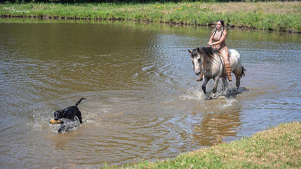 ranch-work-draft-horse